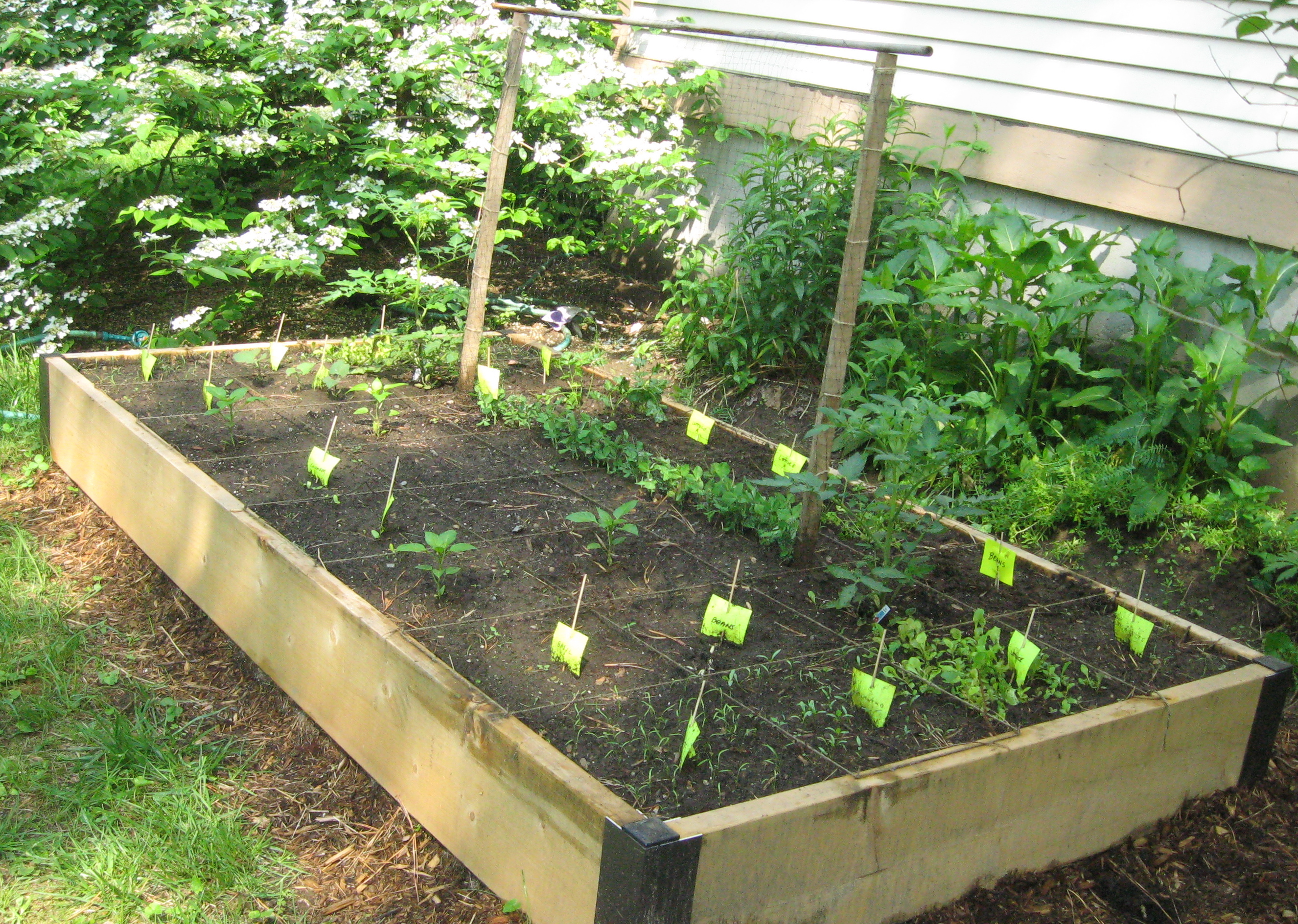 Front Yard Vegetable Gardening: Following the Sun « Nourishing Words