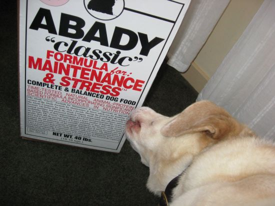 Photo of Charlie with Abady Dog Food