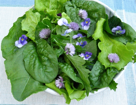 Photo of spring salad with violet greens, dandelion greens, chives and violas